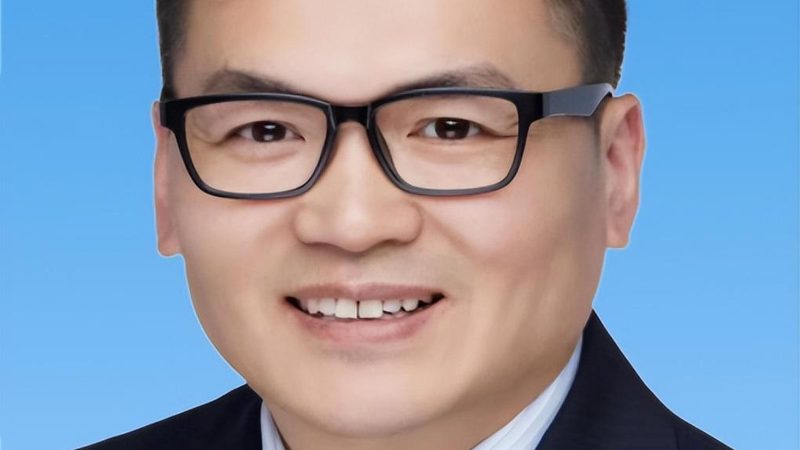 线路板材质揭秘：分类与差异解析**